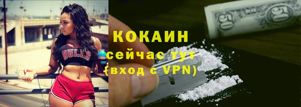 спиды Михайлов