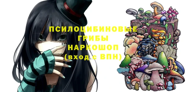 спиды Михайлов